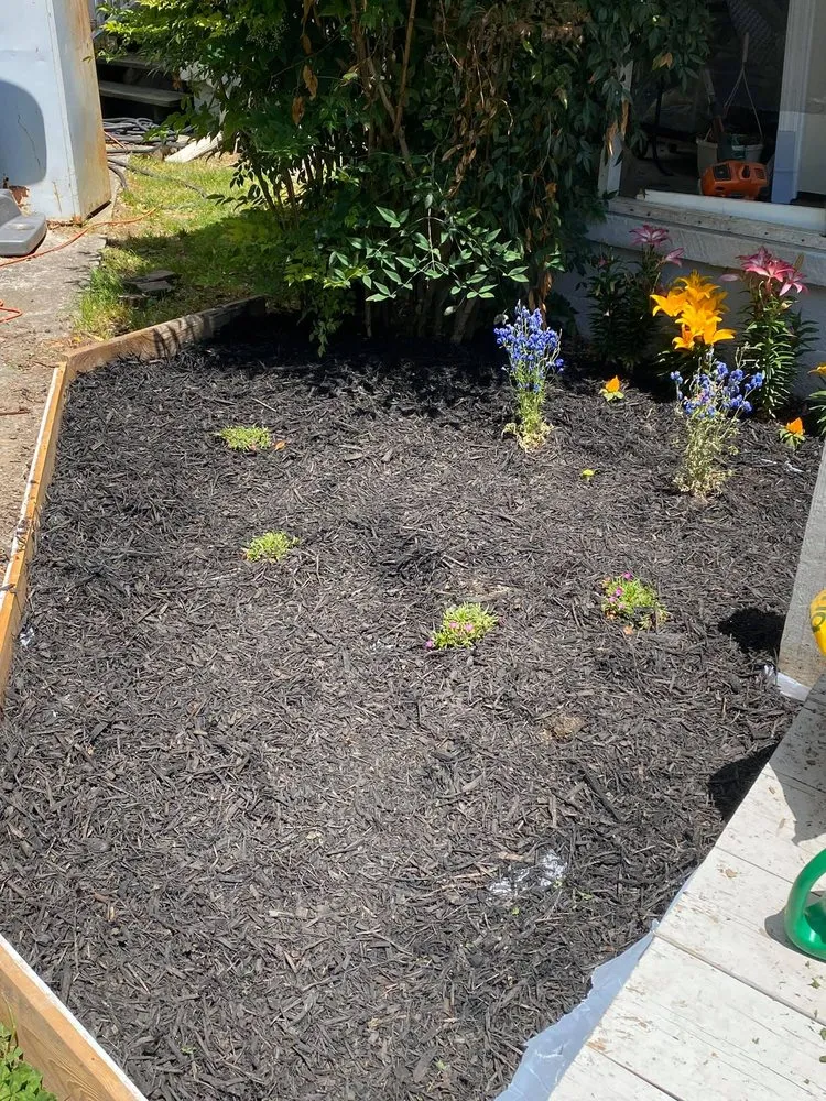 Reliable yard maintenance for residential properties across Gainesville, GA - Smith’s Lawns