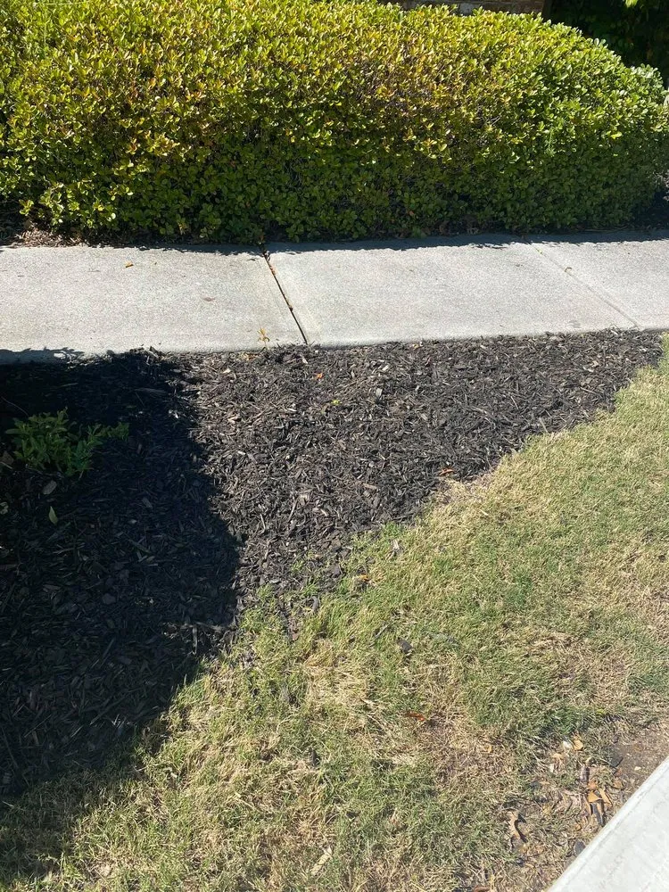 Top-rated yard cleanup service in Gainesville, GA by Smith’s Lawns