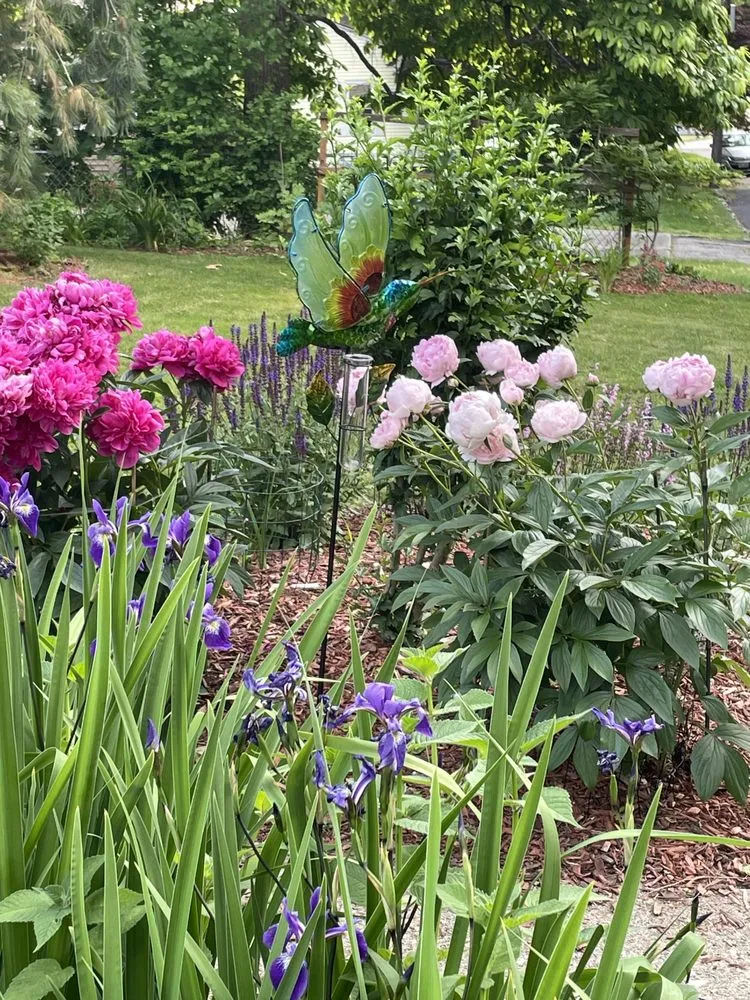 Professional landscape design in Smithfield, RI - Smith's Nursery