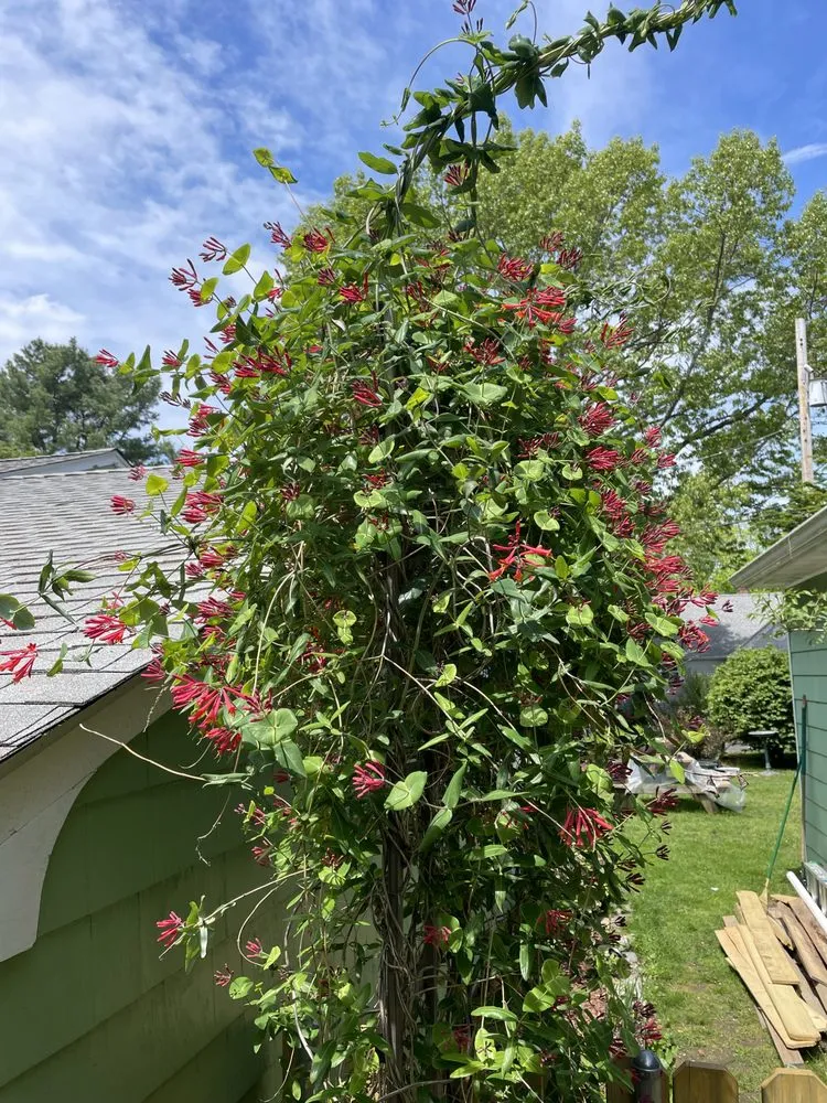 Trusted garden landscaping with custom design across Smithfield, RI - Smith's Nursery