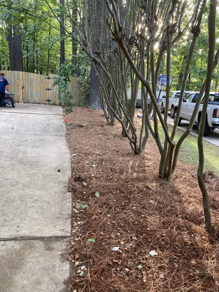 Top-rated landscape installation for residential properties across Northport, AL - Smith’s Outdoor Solutions