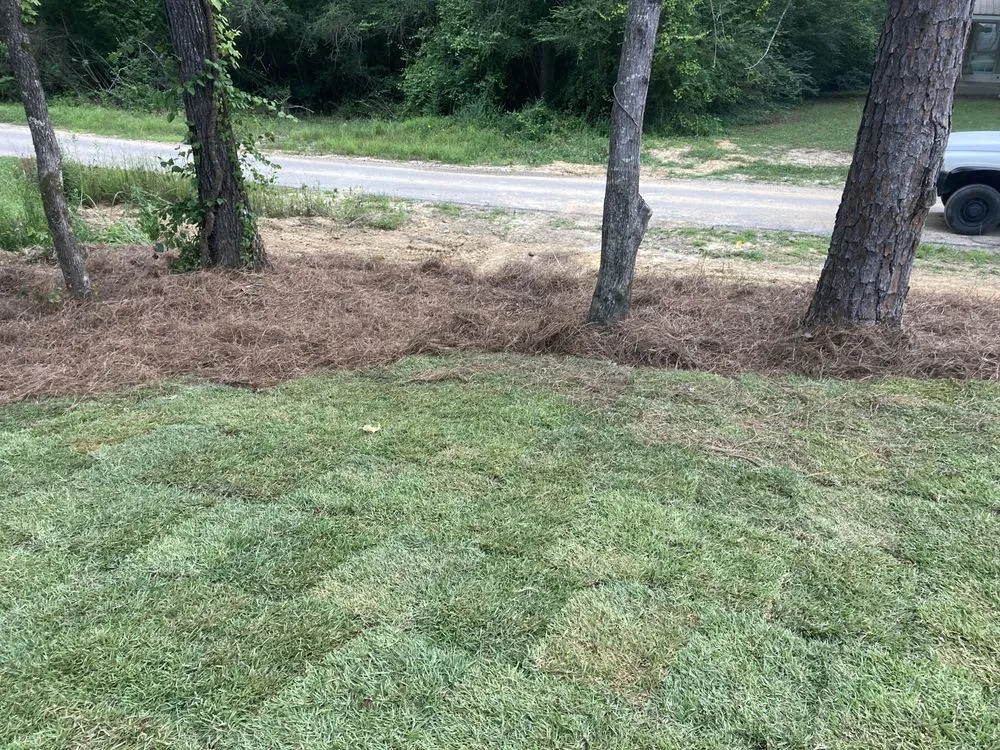 Professional landscape installation for outdoor upgrades in Northport, AL by Smith’s Outdoor Solutions