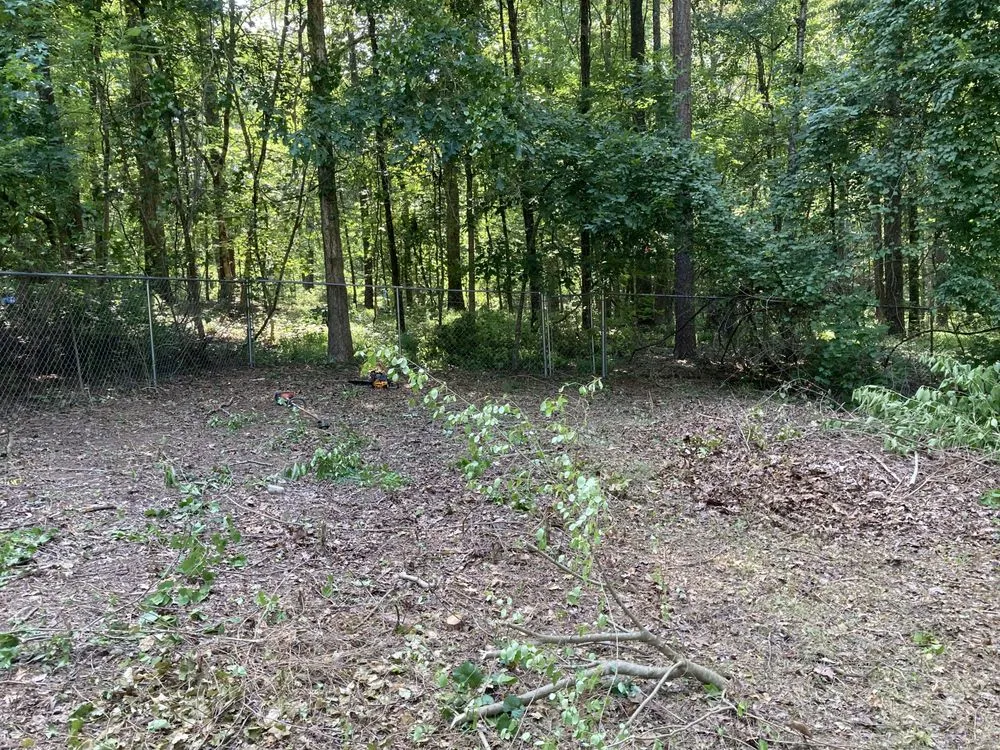 Affordable outdoor landscaping experts serving Northport, AL - Smith’s Outdoor Solutions