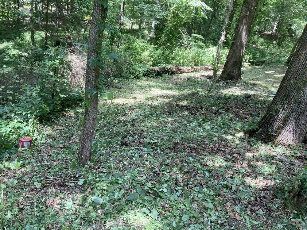 Affordable landscaping services for year-round maintenance across Northport, AL - Smith’s Outdoor Solutions