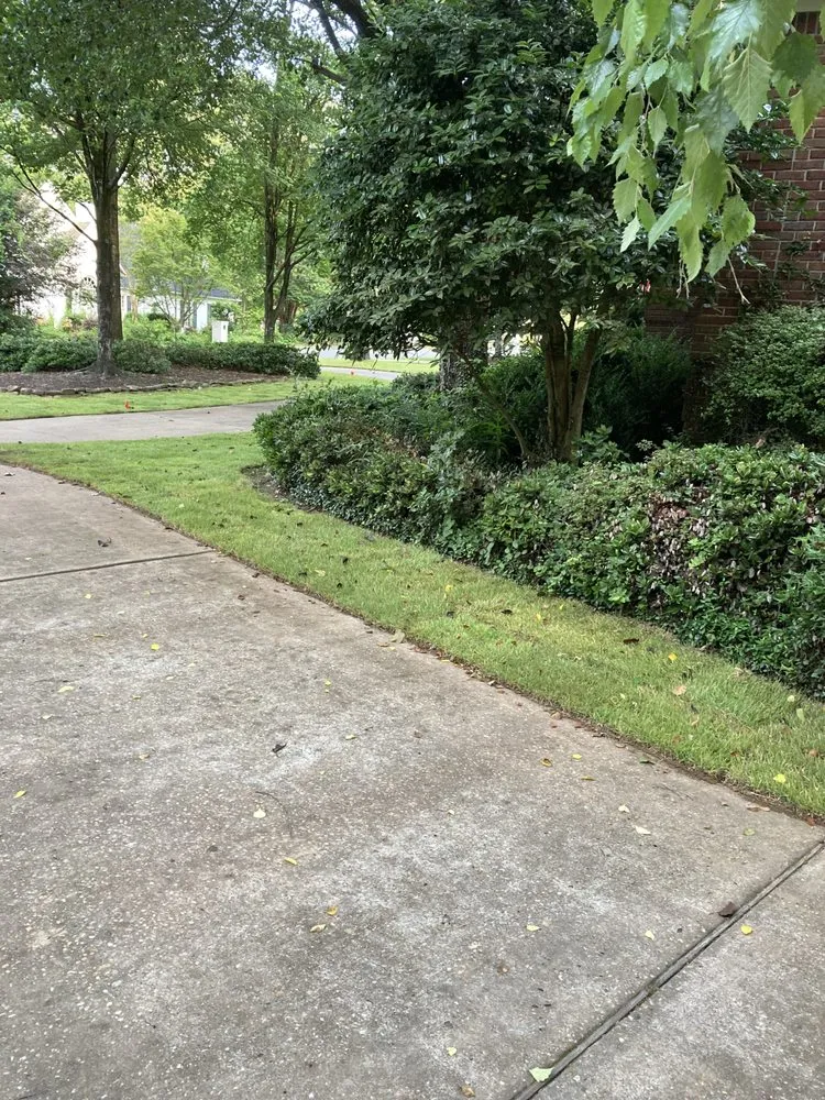 Local yard cleanup service for residential properties in Northport, AL by Smith’s Outdoor Solutions