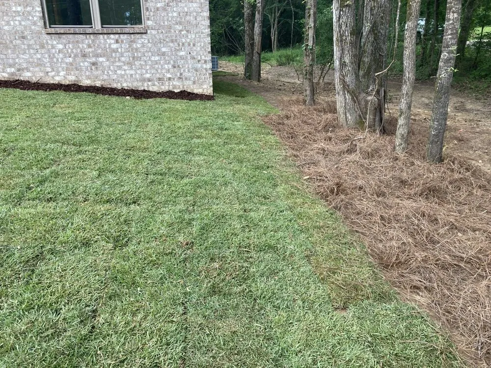 Local yard maintenance in Northport, AL - Smith’s Outdoor Solutions