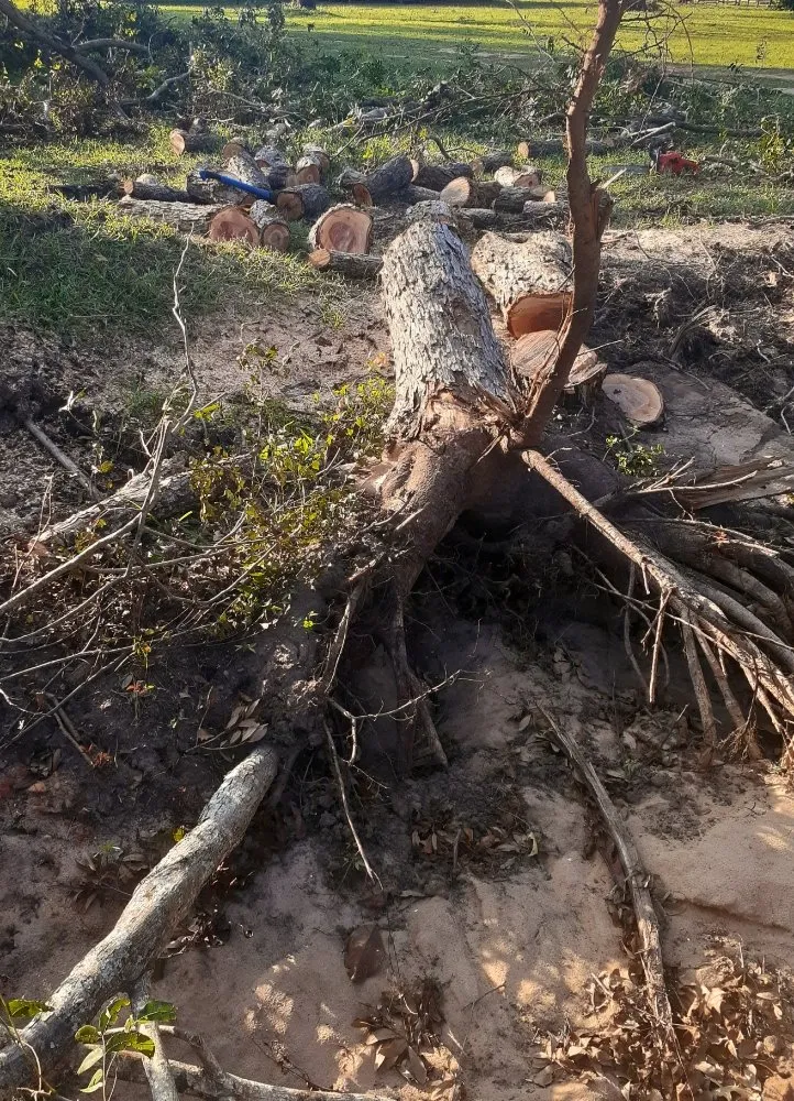 Affordable lawn mowing service in Pensacola, FL by Smith's Pressure Washing & Lawn Care Services