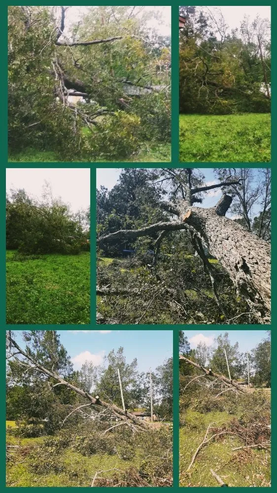 Local lawn mowing service in Pensacola, FL by Smith's Pressure Washing & Lawn Care Services