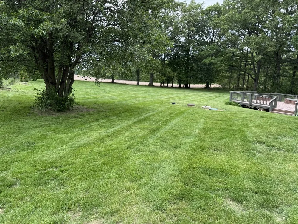 Affordable yard maintenance in Columbus, OH - Smiths property management