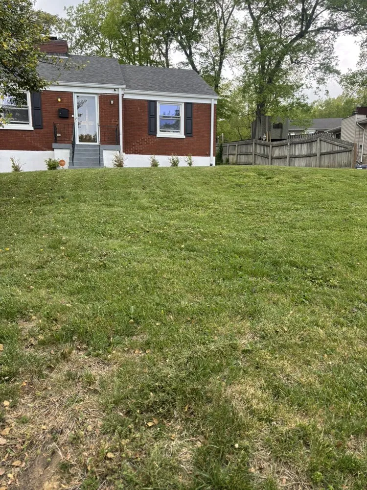 Affordable outdoor landscaping in Louisville, KY by Smiths Property Management