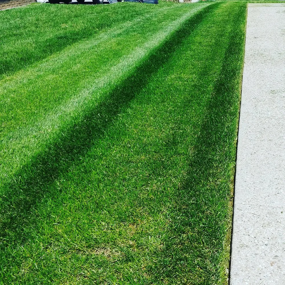 Custom landscape installation for year-round maintenance across Otisco, IN - Smith's Quality Lawn Care