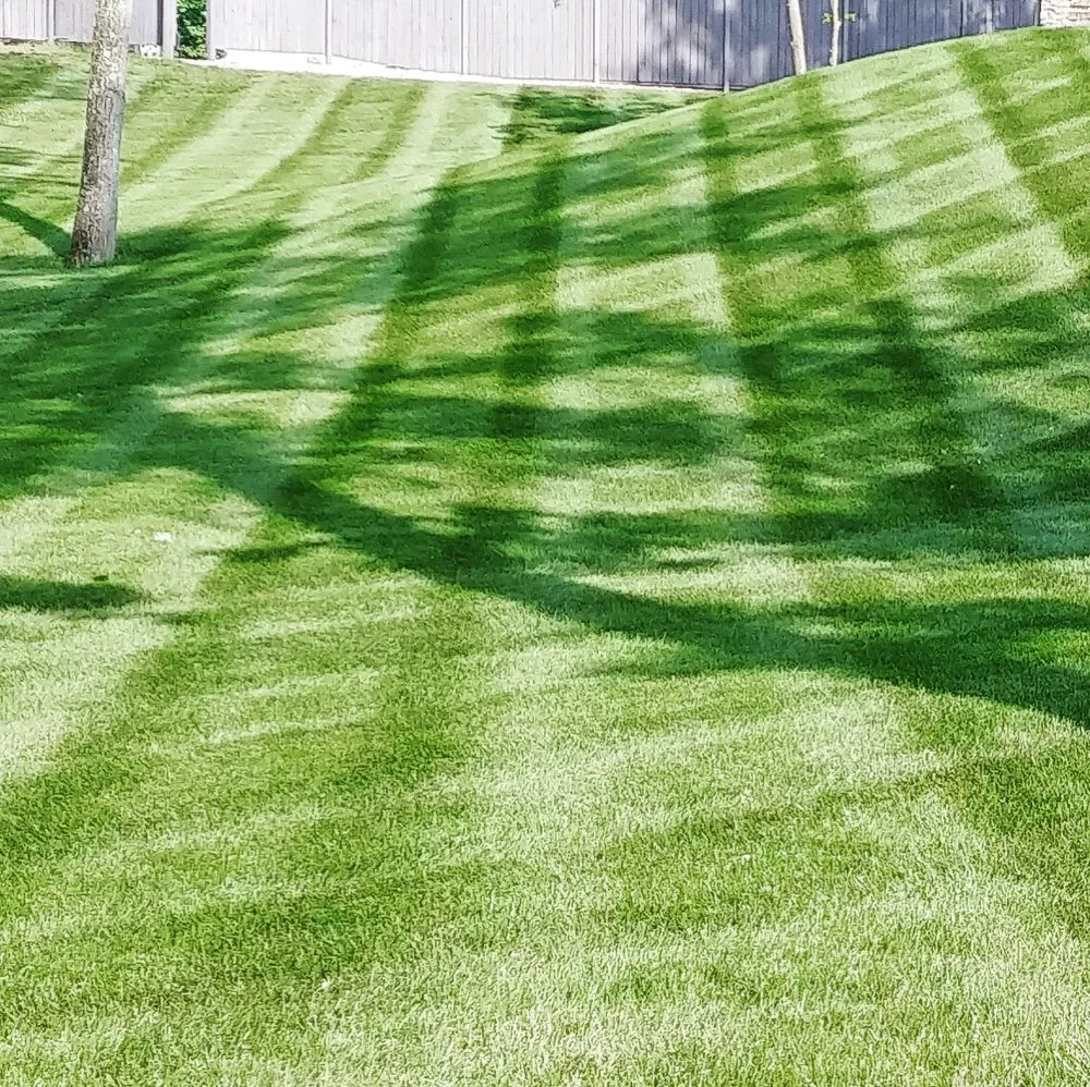 Top-rated outdoor landscaping experts serving Otisco, IN - Smith's Quality Lawn Care
