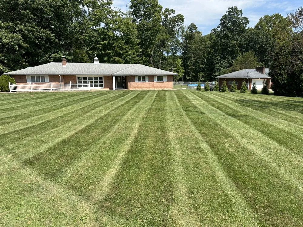 Affordable yard cleanup service in Brookfield Center, OH - Smith's Services