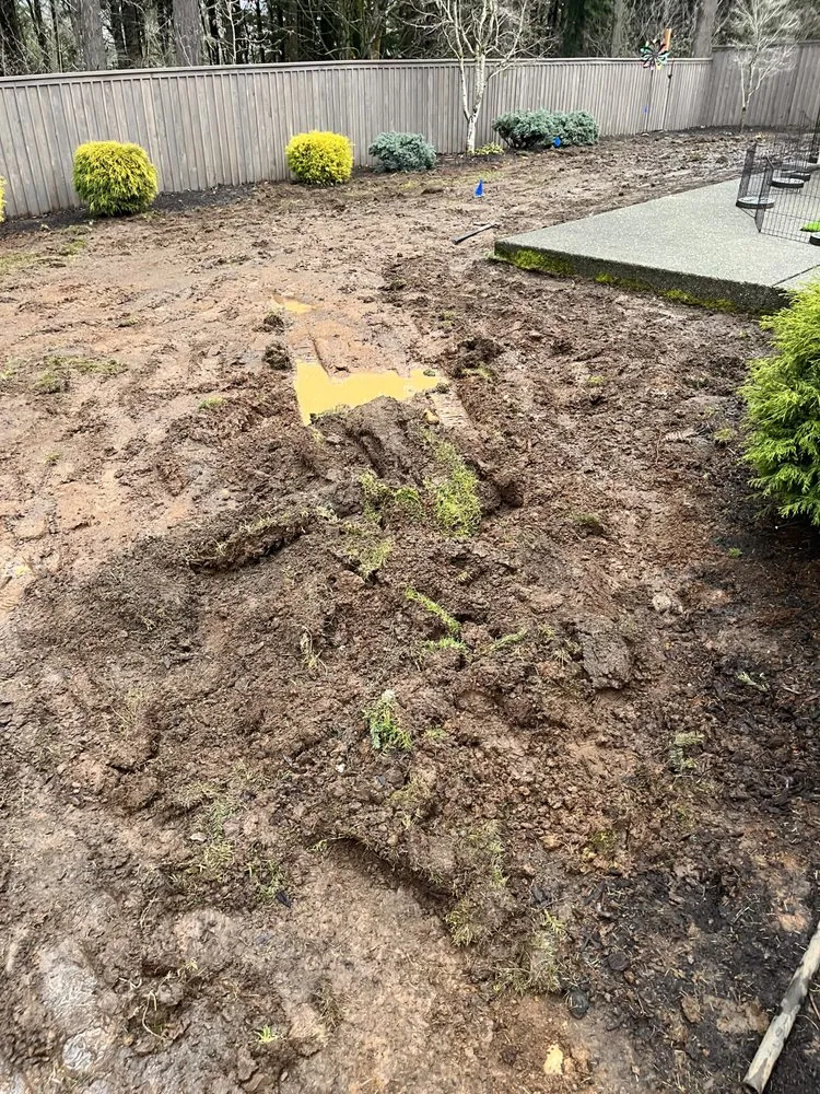 Professional landscape installation for residential properties across Camas, WA - Smith's Specialty Services