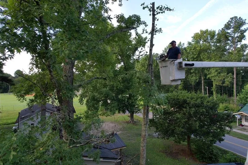 Local garden landscaping in Hampton, SC by Smith's Tree Service