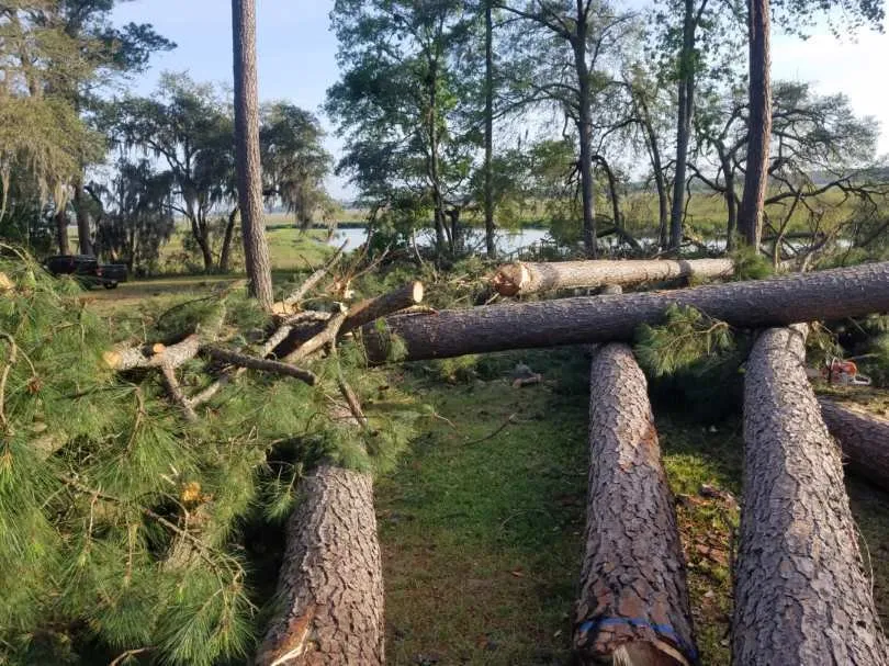 Trusted outdoor landscaping in Hampton, SC by Smith's Tree Service