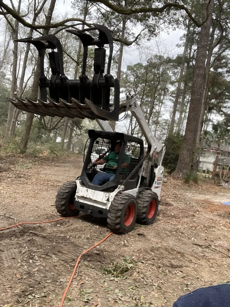 Expert yard cleanup service for outdoor upgrades across Hampton, SC - Smith's Tree Service