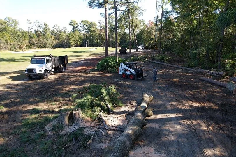 Trusted landscape design in Hampton, SC - Smith's Tree Service