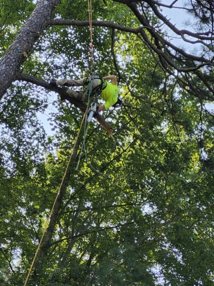 Trusted lawn mowing service in Portsmouth, OH by Smithsons Services