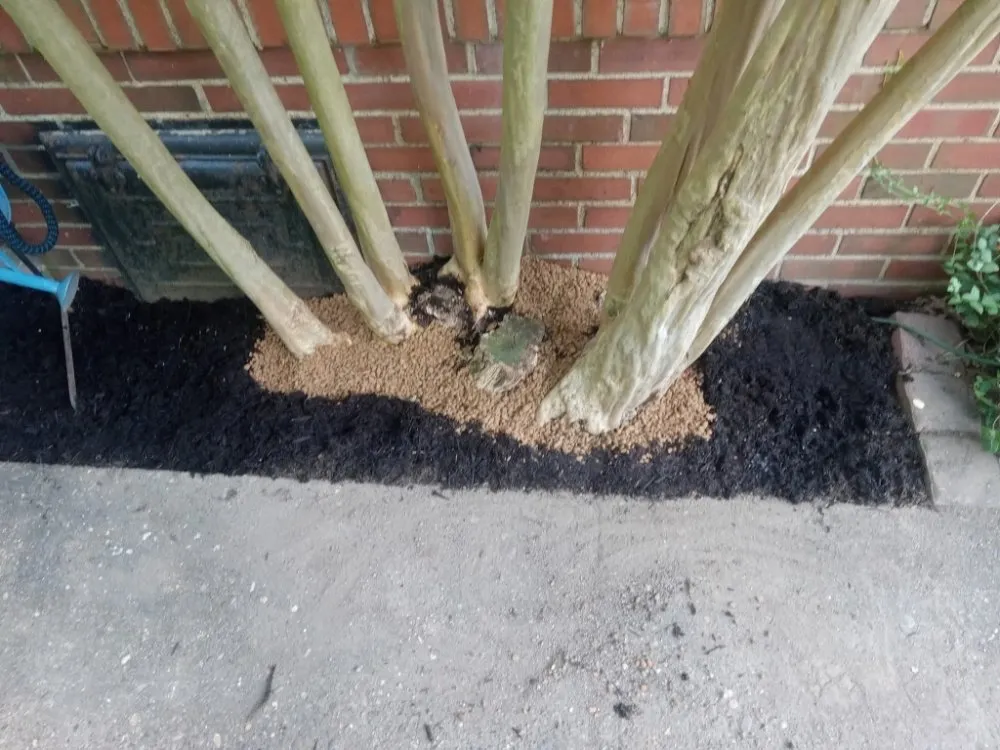 Professional lawn care service near you in Portsmouth, OH by Smithsons Services