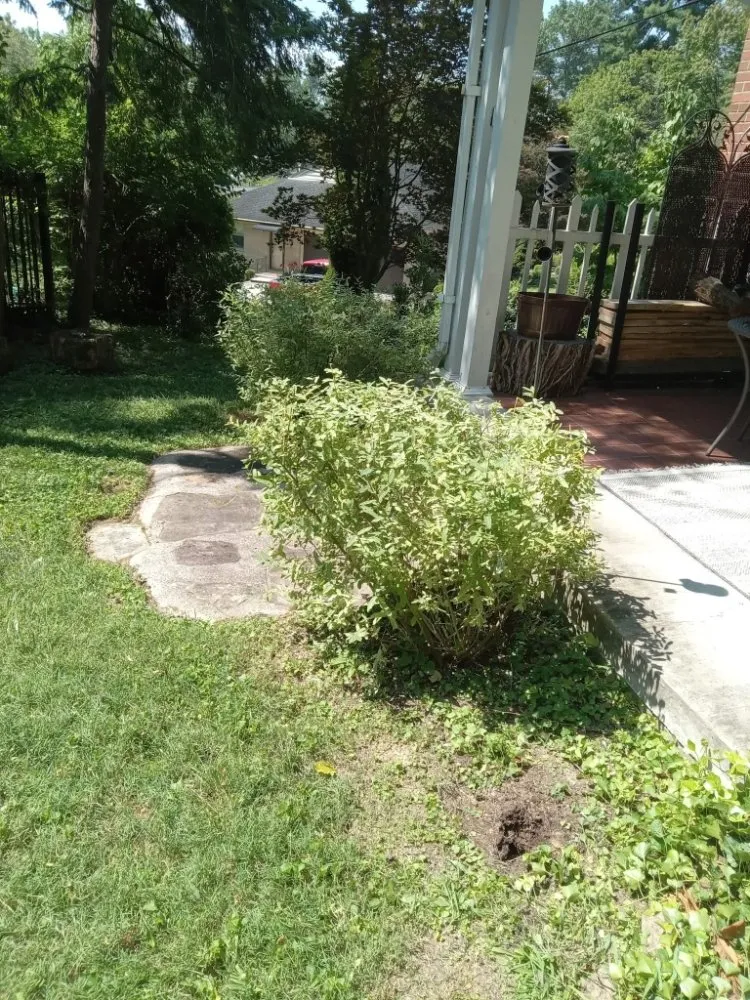 Custom lawn care service in Portsmouth, OH by Smithsons Services