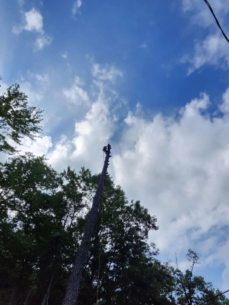 Affordable landscape design in Portsmouth, OH - Smithsons Services