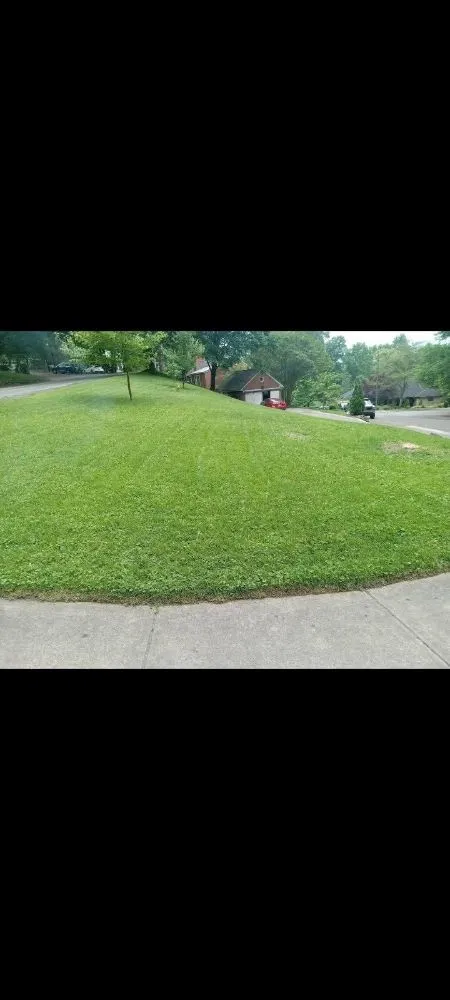 Reliable yard cleanup service for homes in Portsmouth, OH by Smithsons Services