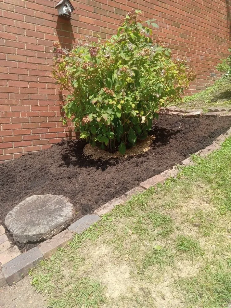 Custom yard maintenance in Portsmouth, OH - Smithsons Services