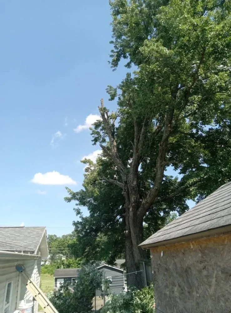 Reliable lawn care service in Portsmouth, OH - Smithsons Services