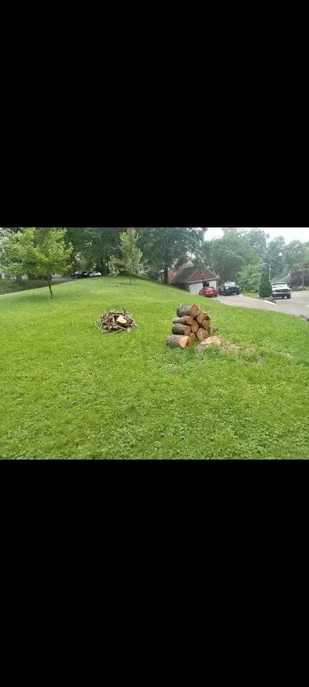 Local yard cleanup service for year-round maintenance in Portsmouth, OH by Smithsons Services