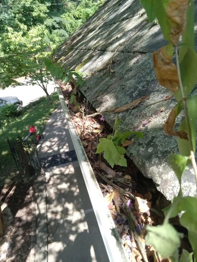 Expert landscape installation with custom design across Portsmouth, OH - Smithsons Services