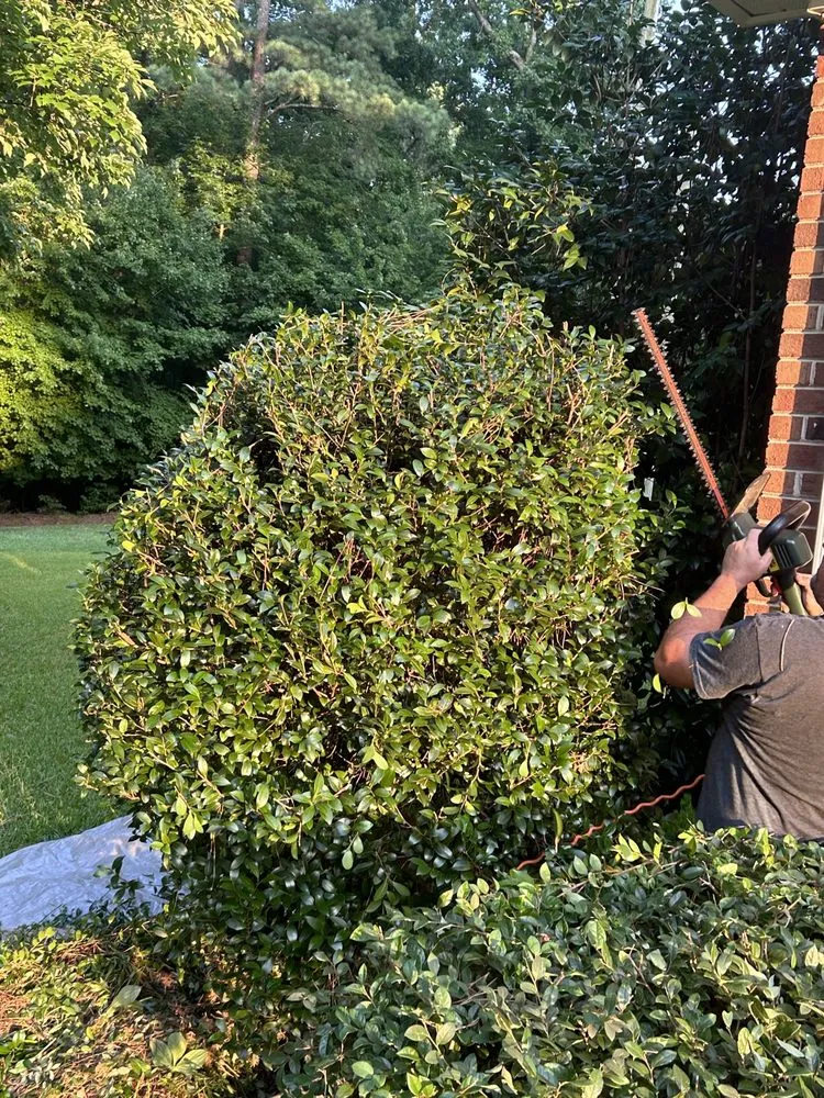 Reliable garden landscaping in Apex, NC by Smitten Lawns