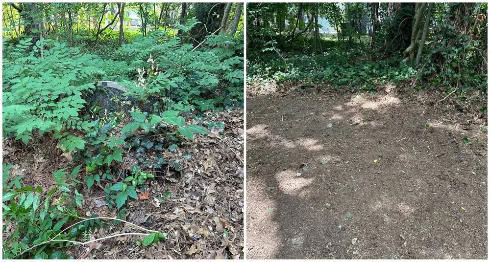 Expert residential landscaping in Apex, NC by Smitten Lawns