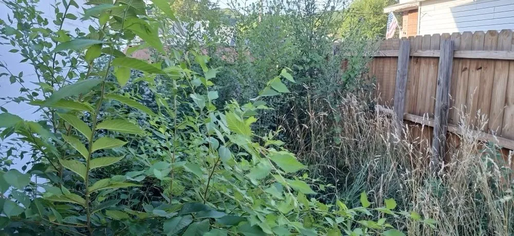 Top-rated lawn mowing service experts serving Pekin, IL - Smittys Do It all