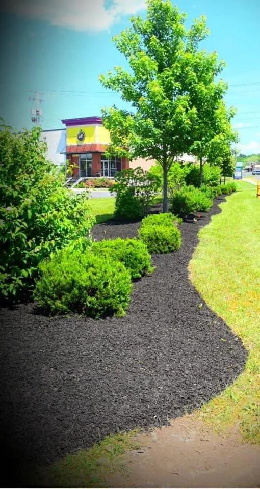 Professional lawn mowing service in Auburn, NY by Smitty's landscaping