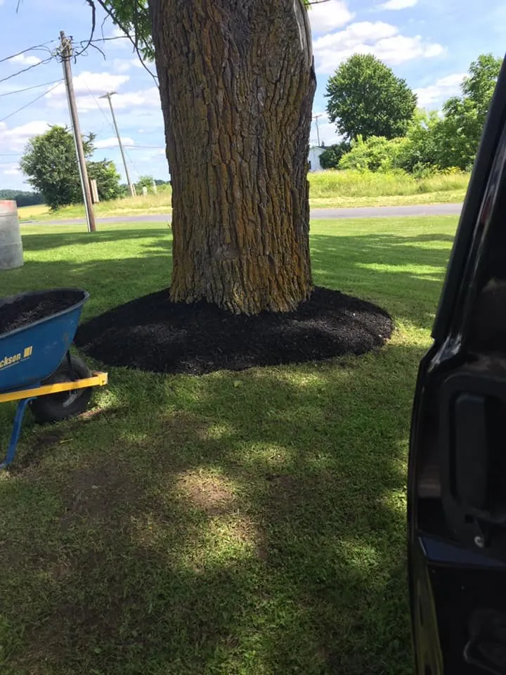 Expert outdoor landscaping near you across Auburn, NY - Smitty's landscaping