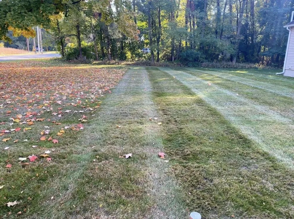 Expert yard maintenance experts serving Macon, GA - Smittys Lawn & Landscape