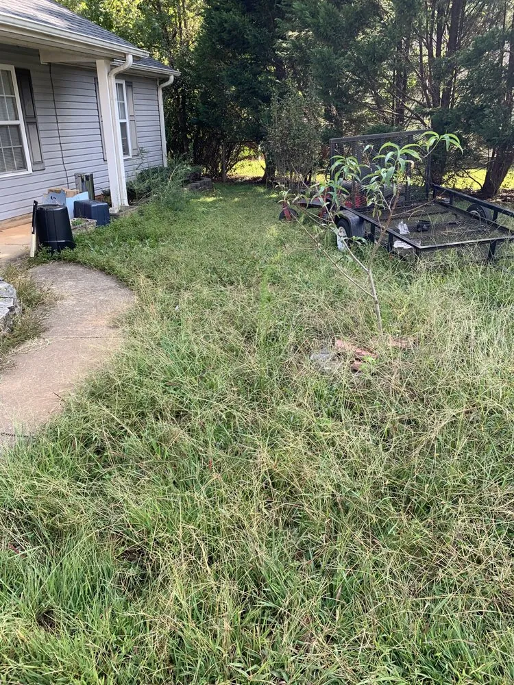 Top-rated residential landscaping for outdoor upgrades across Franklin, GA - Smitty’s Lawn Care