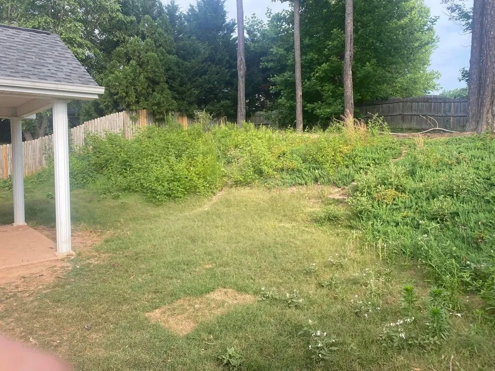 Trusted yard maintenance in Franklin, GA by Smitty’s Lawn Care
