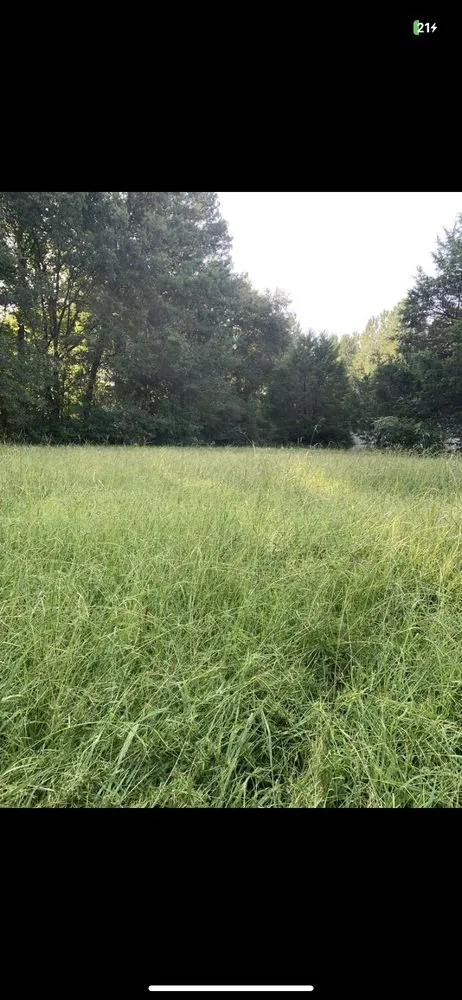 Trusted lawn care service in Franklin, GA by Smitty’s Lawn Care