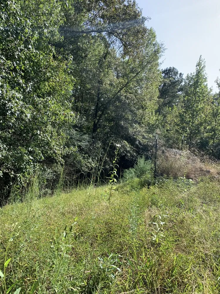 Trusted landscaping services in Franklin, GA by Smitty’s Lawn Care