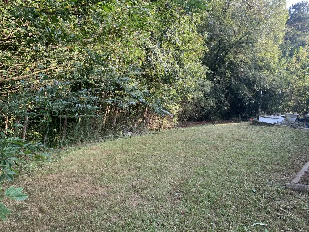 Professional landscaping services experts serving Franklin, GA - Smitty’s Lawn Care