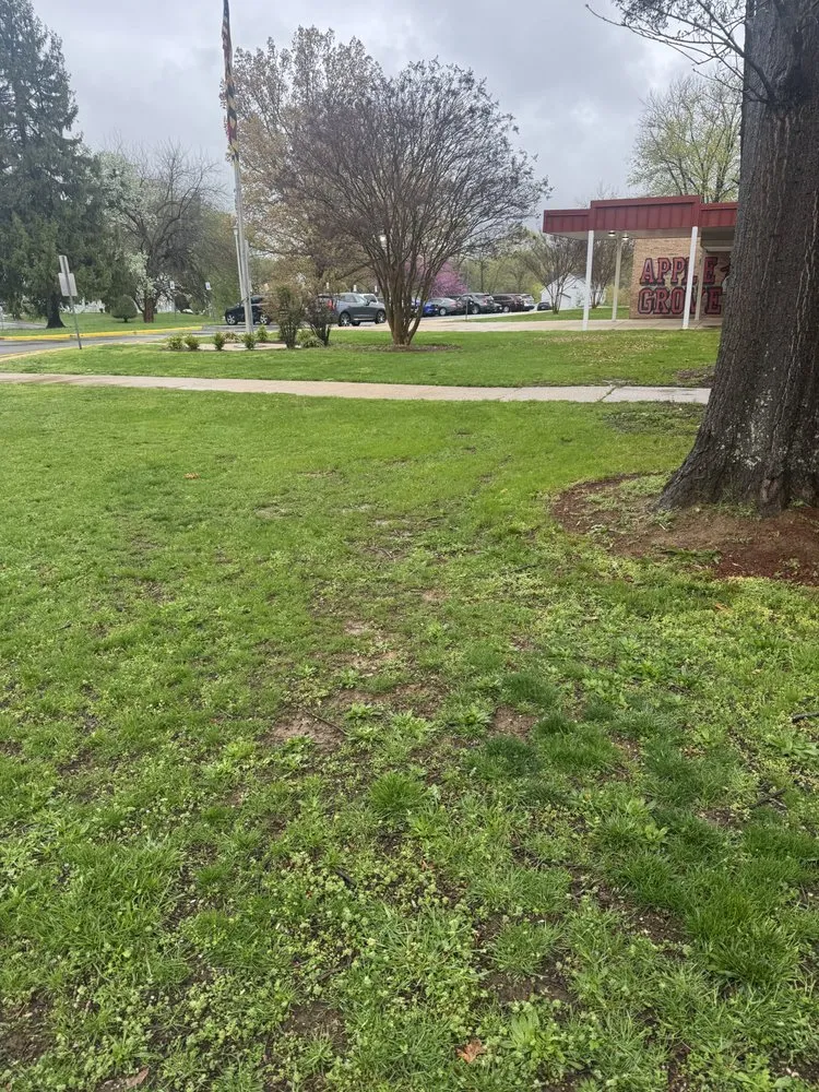 Affordable outdoor landscaping experts serving Temple Hills, MD - Smitty’s Lawn Service and Maintenance