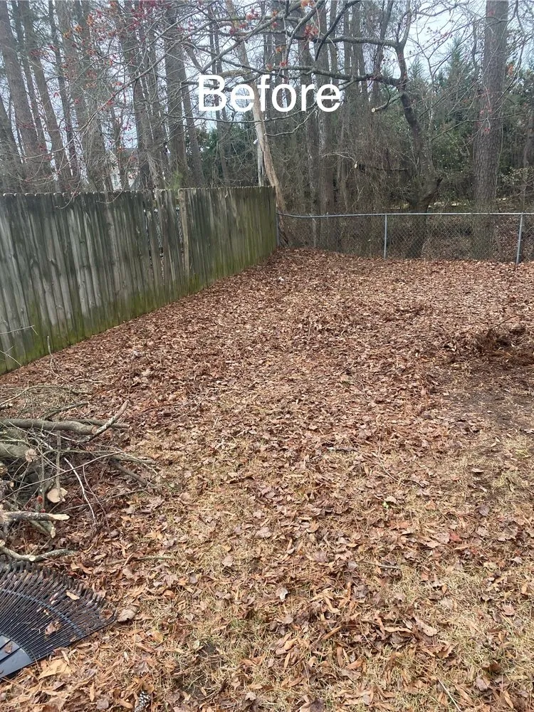 Expert lawn care service experts serving Greenville, NC - Smitty's Lawn Services