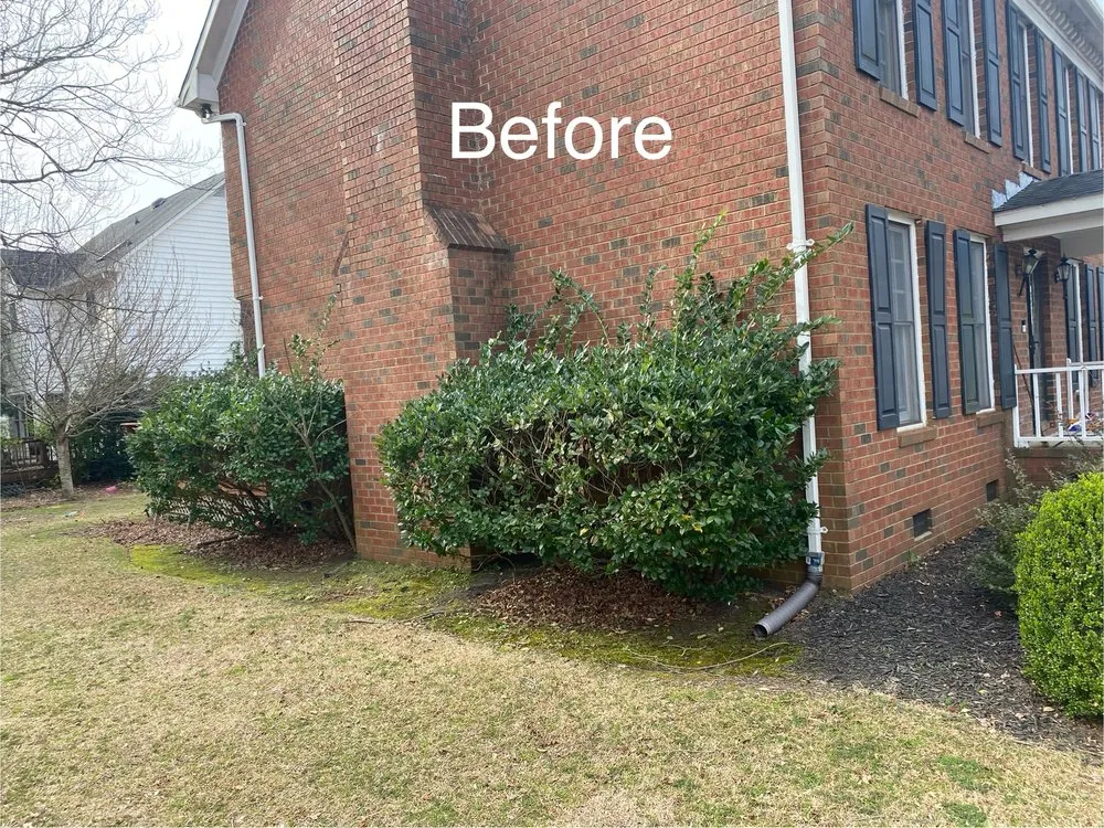 Trusted landscaping services in Greenville, NC by Smitty's Lawn Services