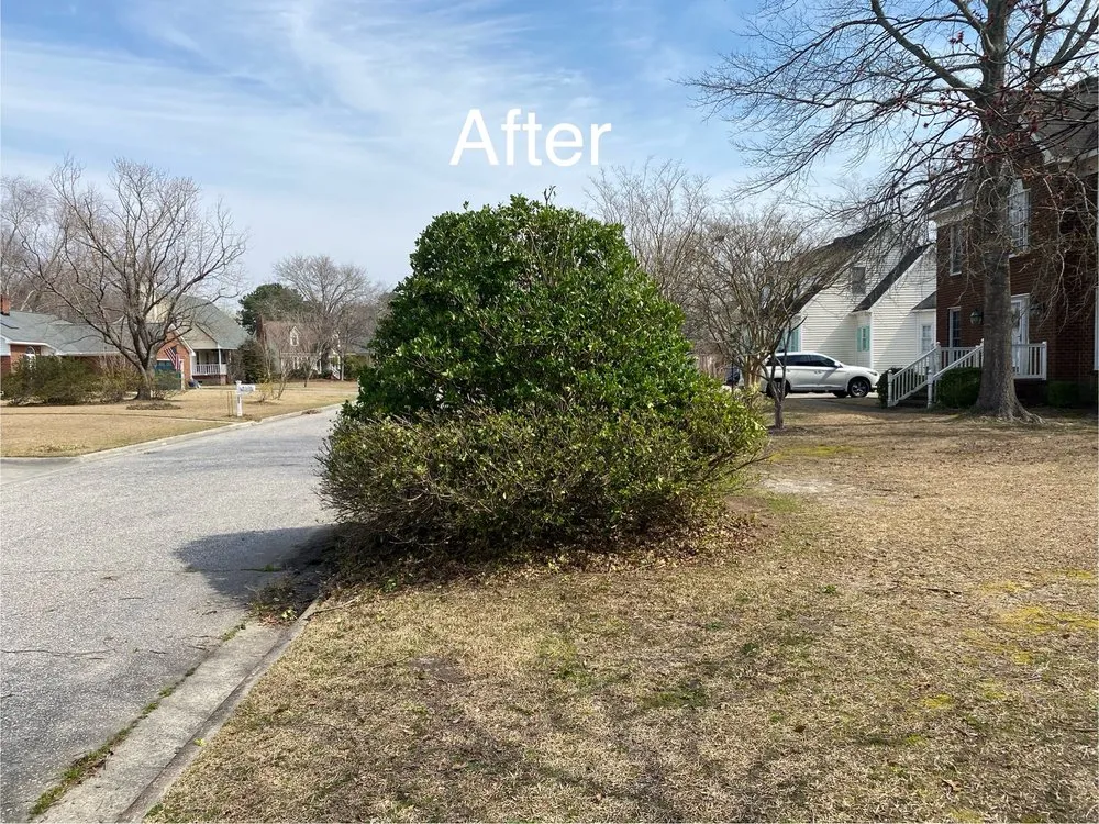 Affordable garden landscaping for outdoor upgrades across Greenville, NC - Smitty's Lawn Services