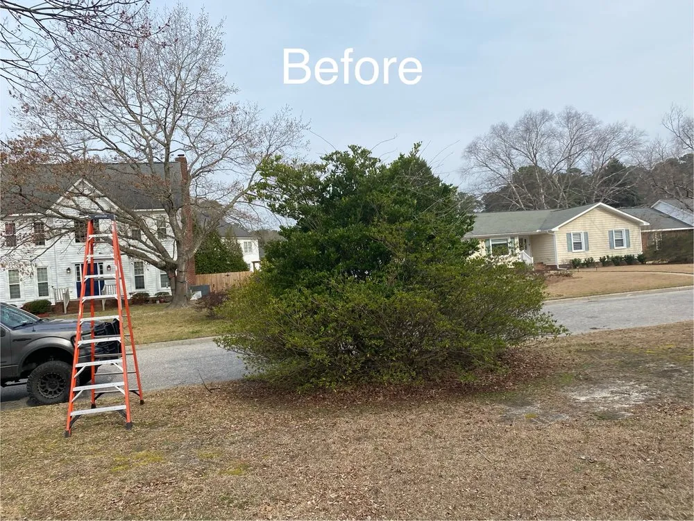 Local yard cleanup service for outdoor upgrades across Greenville, NC - Smitty's Lawn Services
