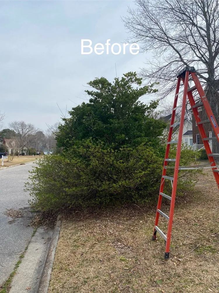 Professional landscape installation near you across Greenville, NC - Smitty's Lawn Services