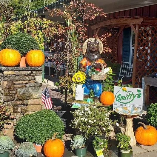 Trusted landscape installation for outdoor upgrades across Windham, NY - Smitty's Nursery & Landscape