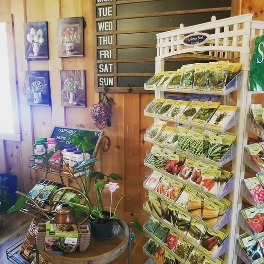 Affordable yard cleanup service for outdoor upgrades across Windham, NY - Smitty's Nursery & Landscape